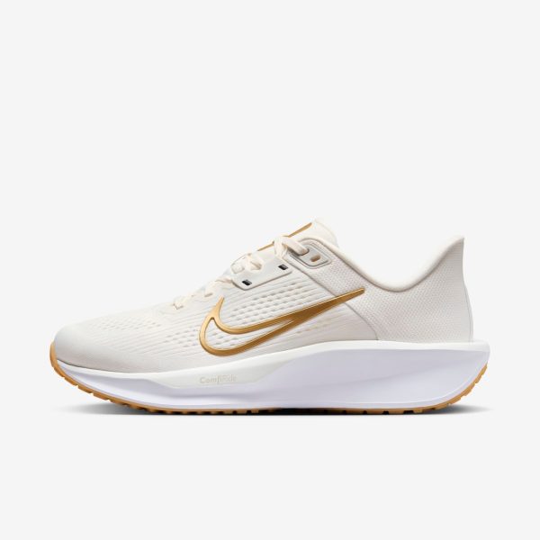 Tênis Nike Quest 6 Feminino