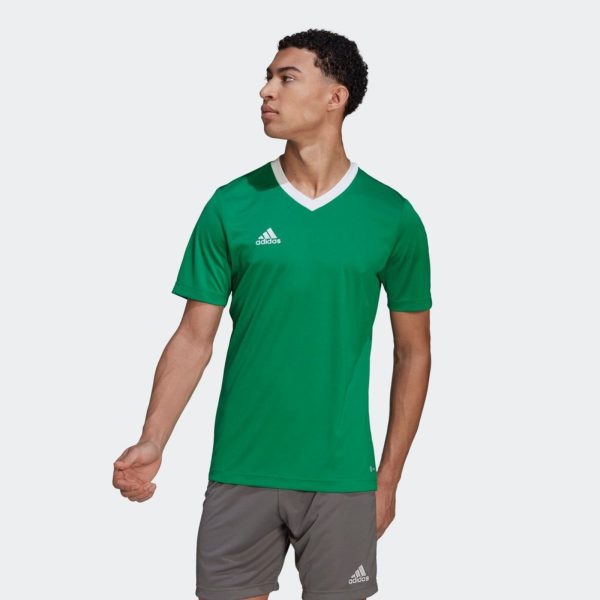 Adidas Camisa Entrada 22