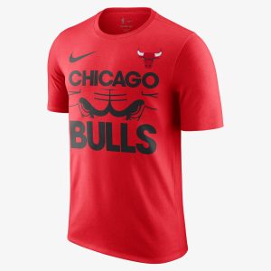 Camiseta Nike NBA Chicago Bulls Courtside Masculina