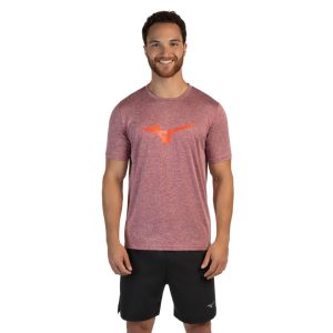 Camiseta de Corrida Masculina Mizuno Run Spark 2 Mescla