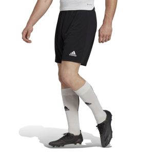 Short Adidas Entrada 22 Masculino