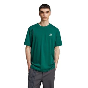 Camiseta Boxy Adicolor Classics Back+Front Trefoil adidas Originals Verde
