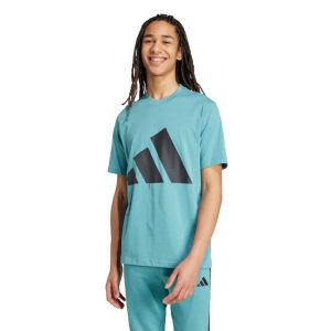 Camiseta Essentials Big Logo adidas Sportswear Azul